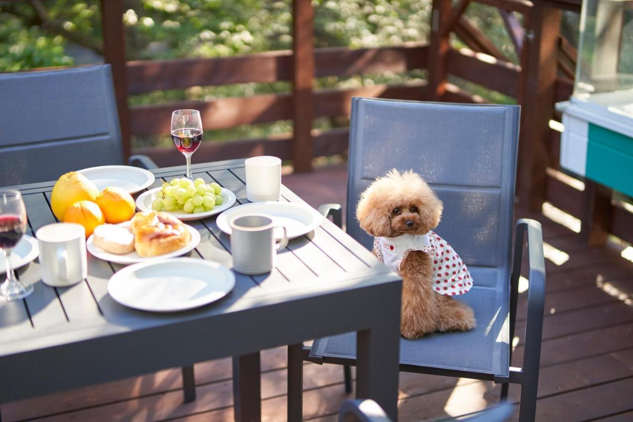 Suite Villa Nasukogen Doggy'S Ohana Exterior photo